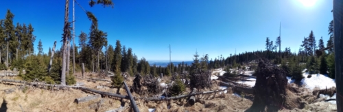 Boubin forest in Sumava NP