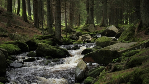 Sumava National park.National park in south, along the border with Germany, since 1990 in UNESCO