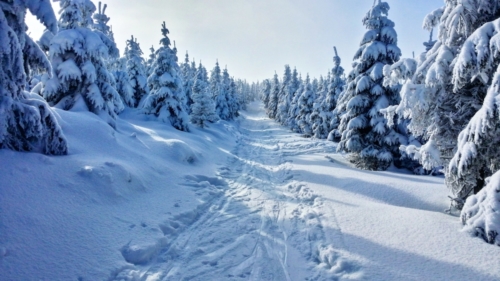 Mountains in winter are perfect for cross-country skiing